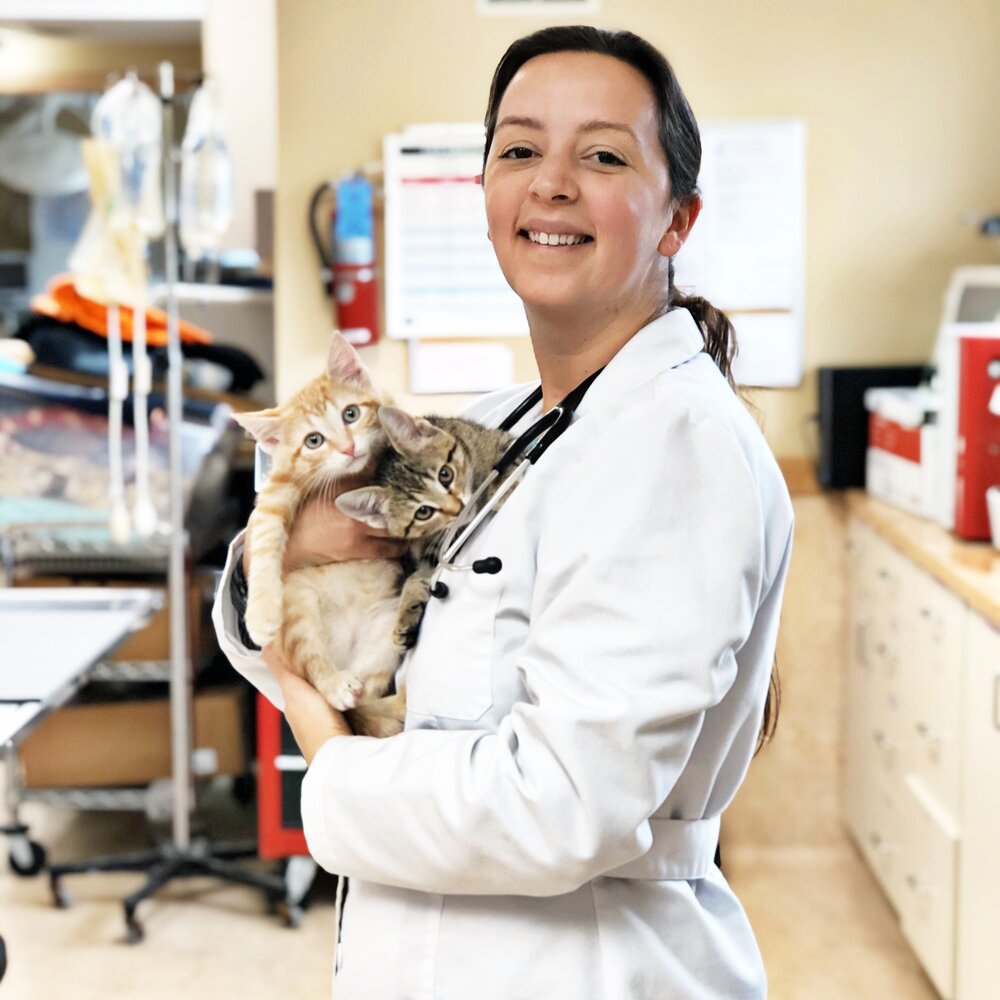Dr. Jeni Waeltz with kittens